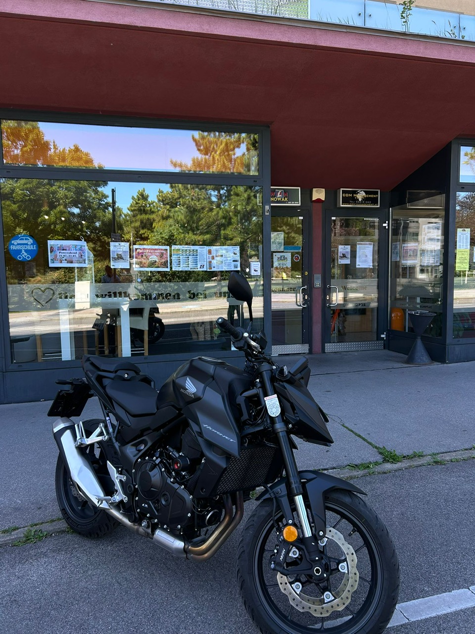 hornet schwarz